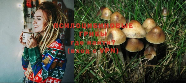 сатива Липки