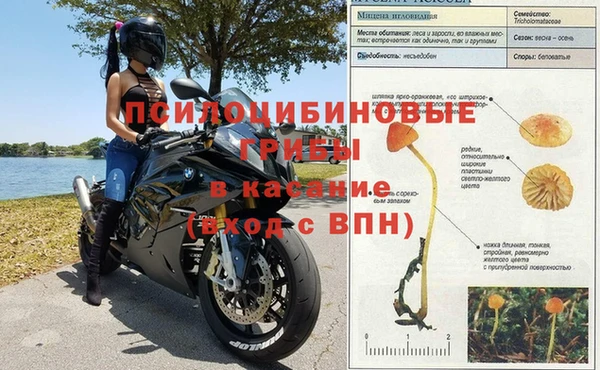 каннабис Майский