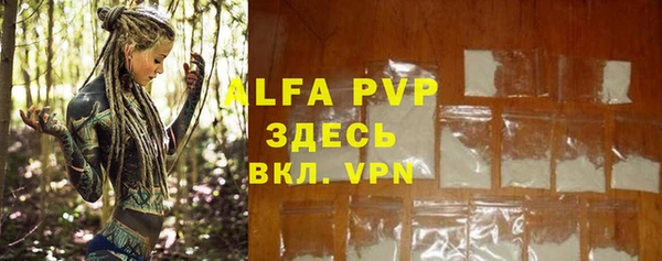 ГАЛЛЮЦИНОГЕННЫЕ ГРИБЫ Ладушкин