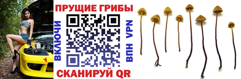 Галлюциногенные грибы мухоморы  hydra ссылки  Лосино-Петровский 