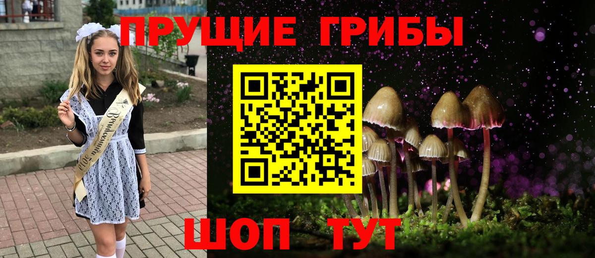 Лосино-Петровский  Псилоцибиновые грибы Psilocybine cubensis  закладка  Псилоцибиновые грибы Psilocybe  Вход с VPN 