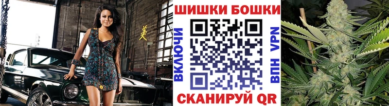 купить наркоту  Лосино-Петровский  Конопля план 